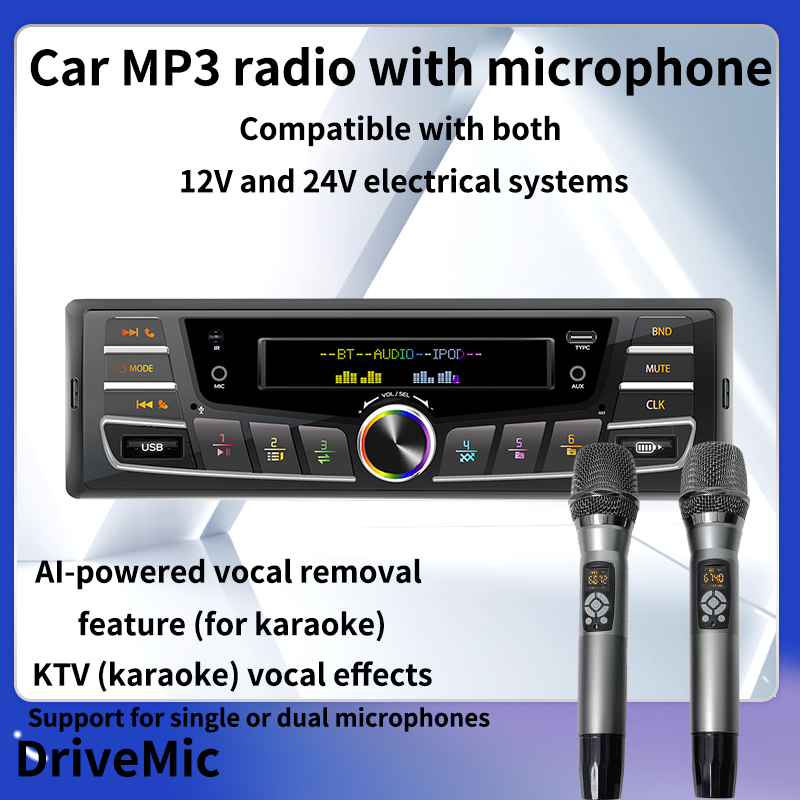 Car MP3 radio with microphone with both 12V and 24V 