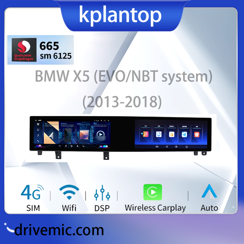 BMW X5 (EVO/NBT system) (2013-2018)